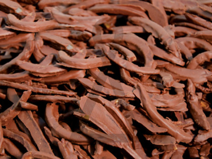 Farripas de Laranja